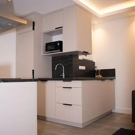 Luxury Cozy 2 Bdr Downtown Apt.5 *
